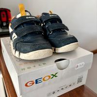 Geox n. 22