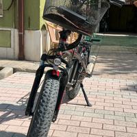 Bicicletta Elettrica - Giama Fanatik