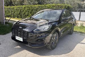 FORD Kuga 1.5 EcoBlue 120 CV aut. 2WD ST-Line