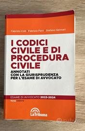 I codici civile e di procedura civile