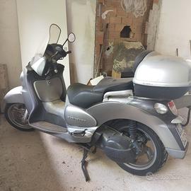 Scarabeo 500