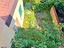 Immagine 21