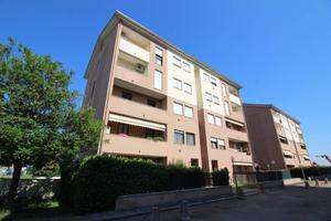 Appartamento di 55 m² con 2 locali a Castelfranco 