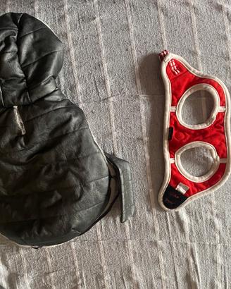 Pettorina e Giubbotto per cani