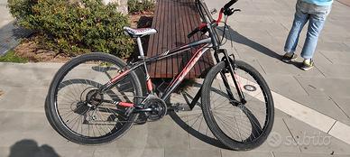 mountain bike (MTB) modello Vicini