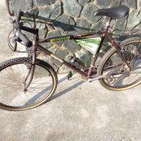 Bicicletta MTB Mountain Bike
