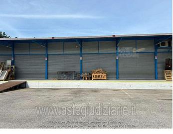 Terreno Agricolo Marino [A4342025]