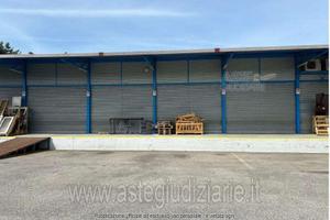 Terreno Agricolo Marino [A4342025]