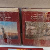 Stock libri su Roma Storie Statue Rioni ed. Newton