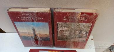 Stock libri su Roma Storie Statue Rioni ed. Newton
