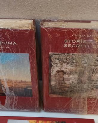 Stock libri su Roma Storie Statue Rioni ed. Newton
