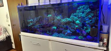 Acquario marino completo