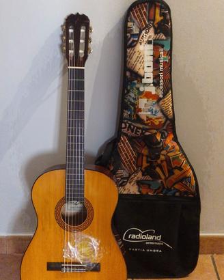 Chitarra acustica Eko
