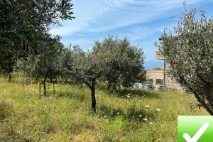 Terreno Agricolo Trapezi 800 Mq
