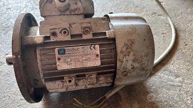 Motore elettrico trifase