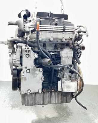 BLS MOTORE COMPLETO AUDI A3 Serie (8P1) 1.9 Diesel