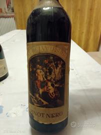 pinot nero vino