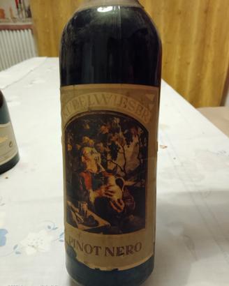 pinot nero vino