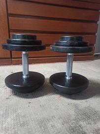 Coppia di manubri da 16 kg in perfette condizioni