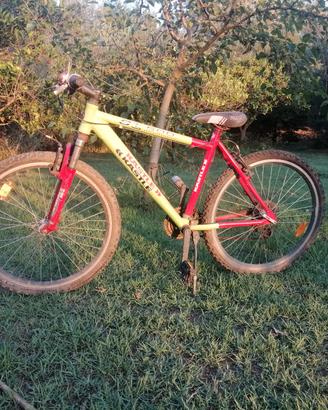 mountain bike