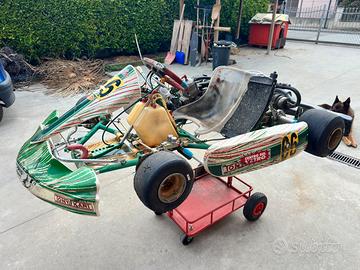 Tony kart kz 125 completo