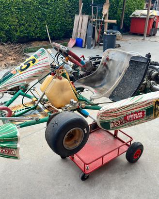 Tony kart kz 125 completo