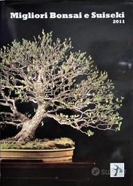 Libro / Catalogo Bonsai UBI
