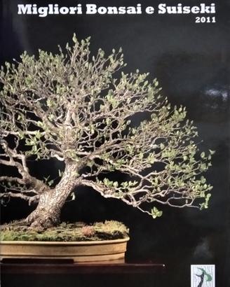 Libro / Catalogo Bonsai UBI