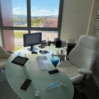 SCRIVANIA PROFESSIONALE