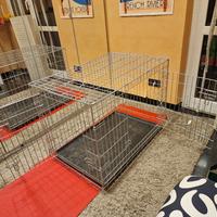 kennel per cani di grossa taglia