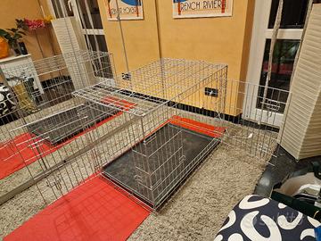 kennel per cani di grossa taglia