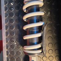 Ammortizzatore Posteriore