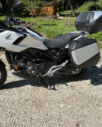 Honda NC 750 X - 2025