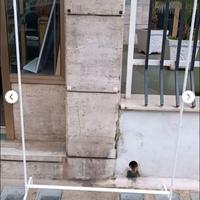 Stand Ikea di colore bianco 