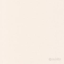 Capannone a Noventa Padovana