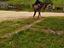 Immagine 3