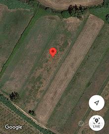 Terreno agricolo cellole - Baia Domzia