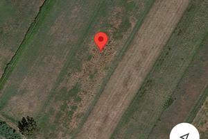 Terreno agricolo cellole - Baia Domzia