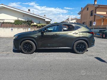 Lexus NX450 plugin 