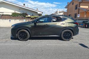 Lexus NX450 plugin 