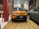 fiat-panda-4x4