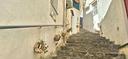 monolocale-a-vietri-sul-mare