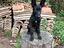 Immagine 6