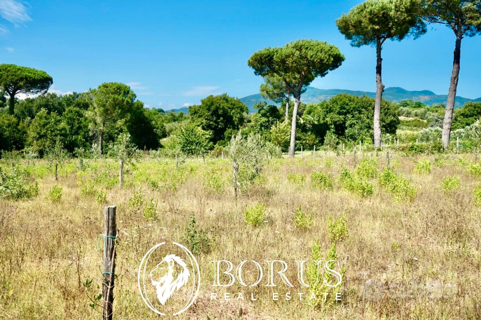 Terreno agricolo faccia strada - Vista 3