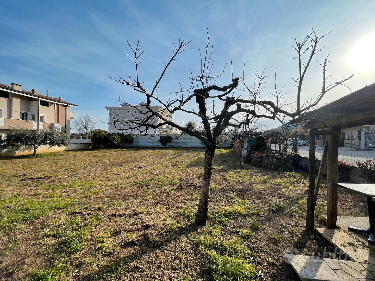 Terreno edificabile - Falciano del Massico (CE) - Vista 2