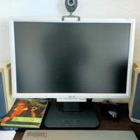 Monitor Acer 19 pollici 