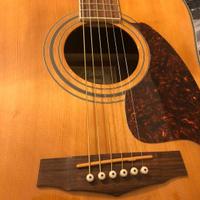Ibanez Performance acustica 