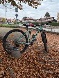 Bicicletta