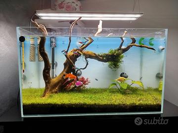 ACQUARIO AQPET DI 60 