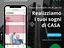Immagine 24